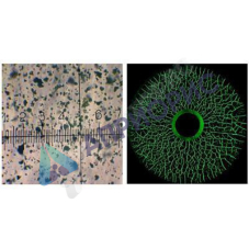 helling super magna ly 1500 концентрат